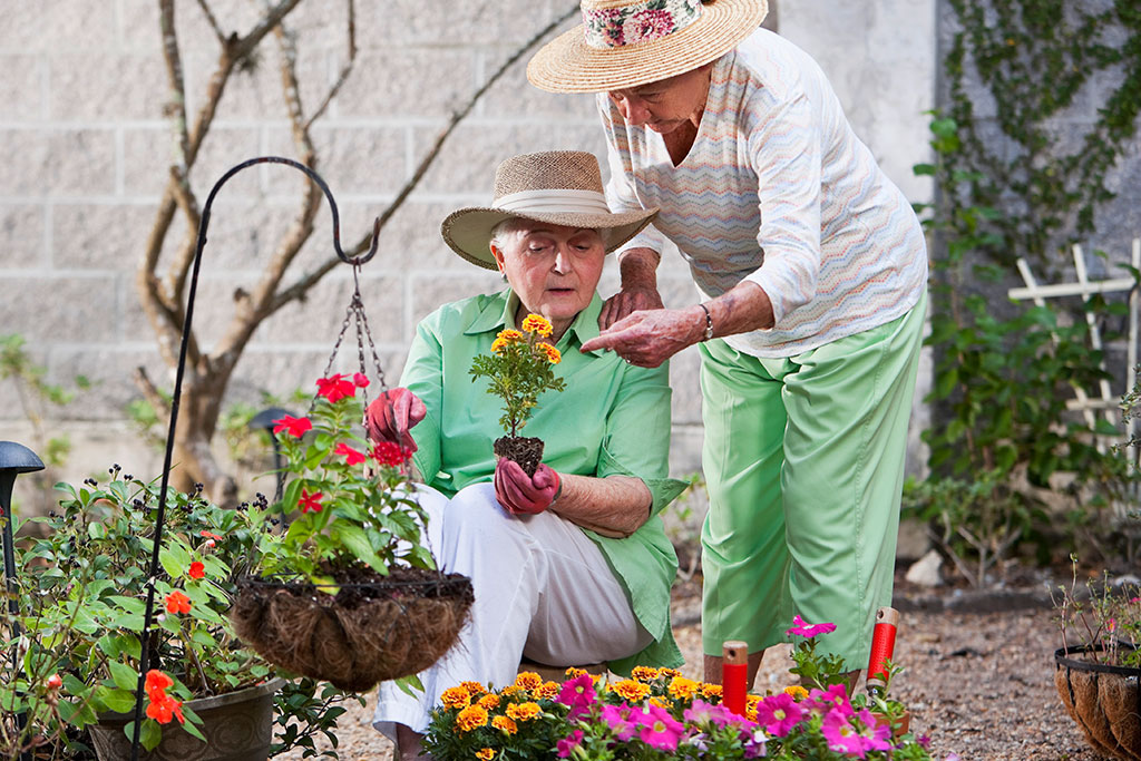 Independent Senior Living Apartments & Homes in Fayetteville, NC | The ...